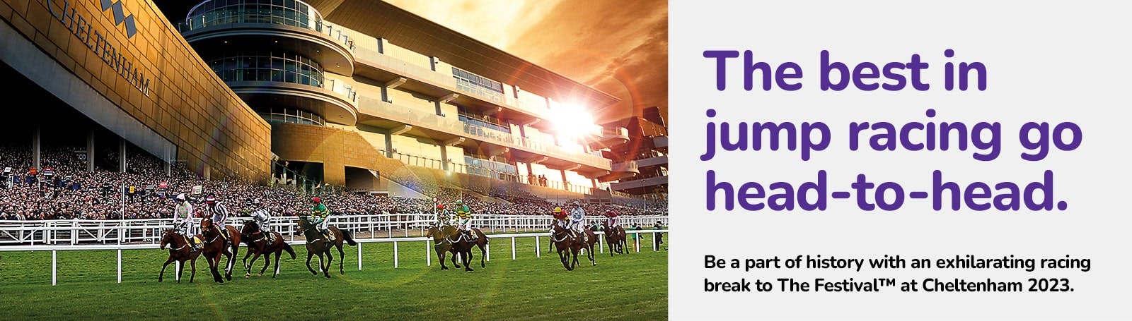 The Festival at Cheltenham